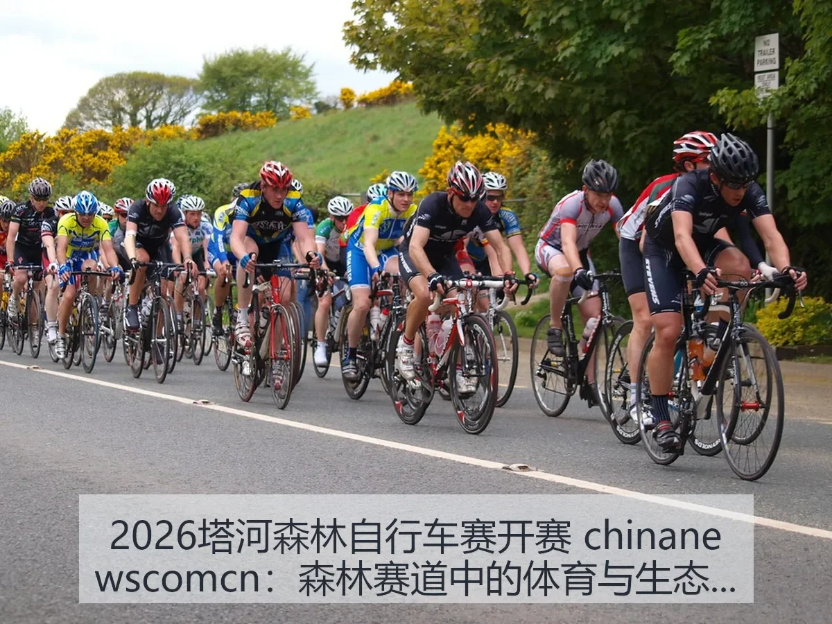 2026塔河森林自行车赛开赛：森林赛道中的体育与生态观察